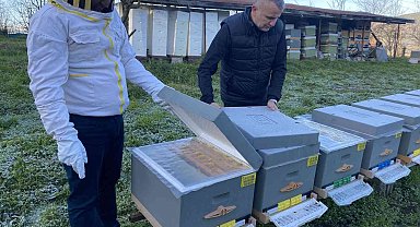 Yüksek hava sıcaklıkları arıcılığı ve bal üretimini olumsuz etkiliyor