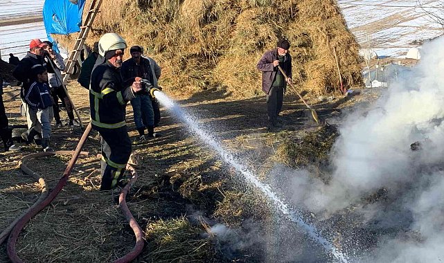 Yüksekova'da 4 bin bağ ot yandı