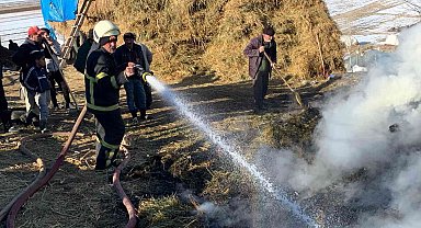 Yüksekova'da 4 bin bağ ot yandı