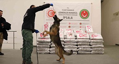 Yunanistan'dan Türkiye'ye giriş yapan tırda 603 kilo 500 gram skunk ele geçirildi