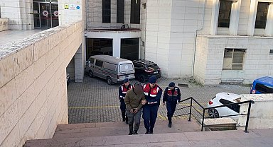Zeytin hırsızları jandarmanın çalışması ile yakalandı