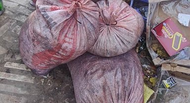 Zeytin hırsızları suçüstü yakalandı