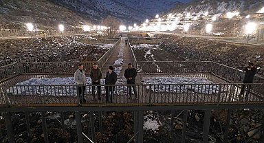 Zincidere 100. Yıl Mesire Alanı Gece Işıl Işıl