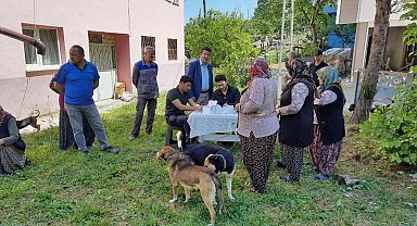 Zonguldak'ta 12 bin 655 evcil hayvana çip takıldı