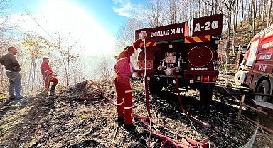 Zonguldak'ta orman yangını büyümeden söndürüldü
