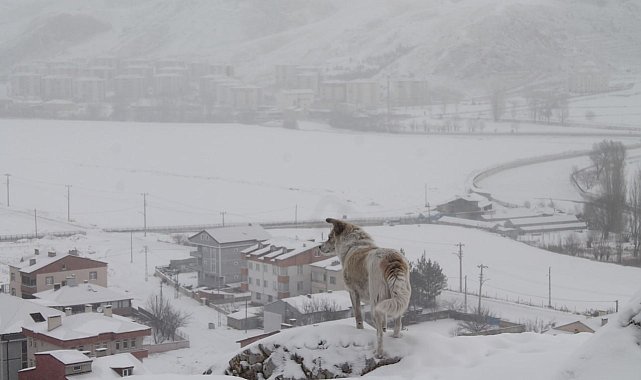 Bayburt'ta kar yağışı ve dondurucu soğuklar etkili oluyor
