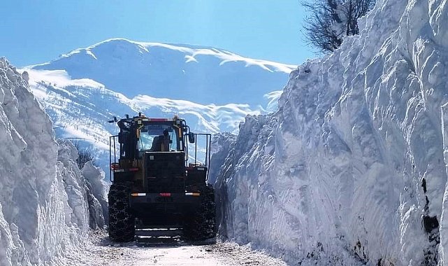 Bitlis'te karla mücadele çalışmaları