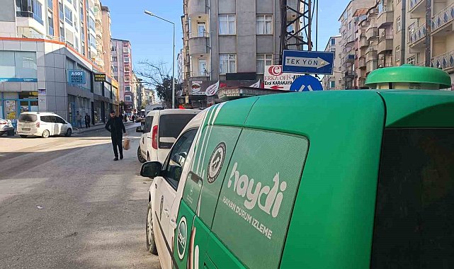 Evde unutulan kediyi HAYDİ unutmadı
