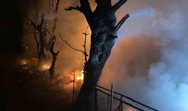 Hamitabat Köyü'nde çıkan yangın korkuttu