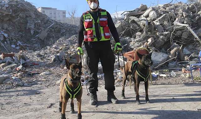 Kahraman köpekler: Asko ve Pia, 5 günde 10 kişiye ulaştı