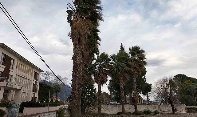 Köyceğiz'de rüzgar ve fırtına etkisini sürdürüyor