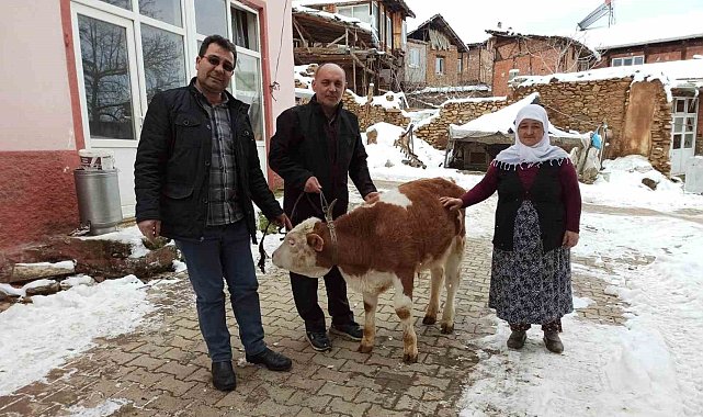 Kütahya Simavlı Gülper teyze, sattığı tosunun parasını depremzedelere bağışladı