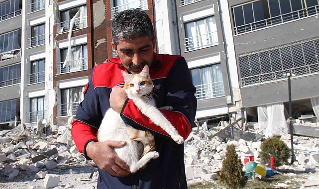 Malatya'da ağır hasarlı binada mahsur kalan kedi kurtarıldı