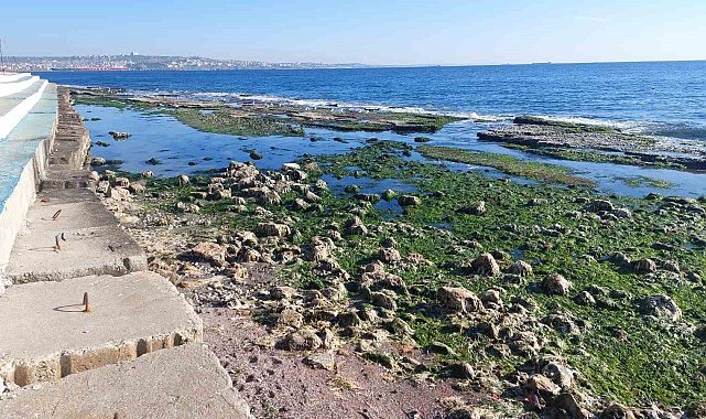 Marmara Denizi 25 metre çekildi: "Depremle alakası yok"