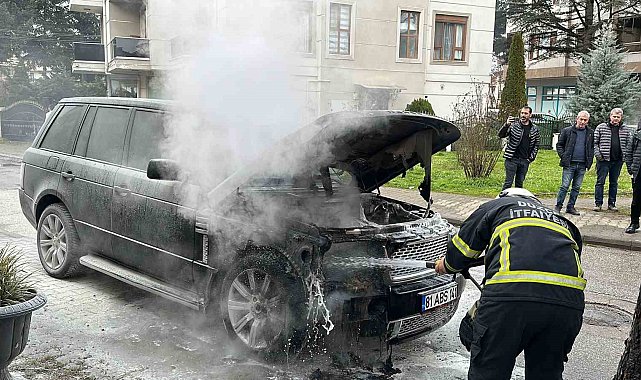 Park halindeki lüks cipte yangın çıktı