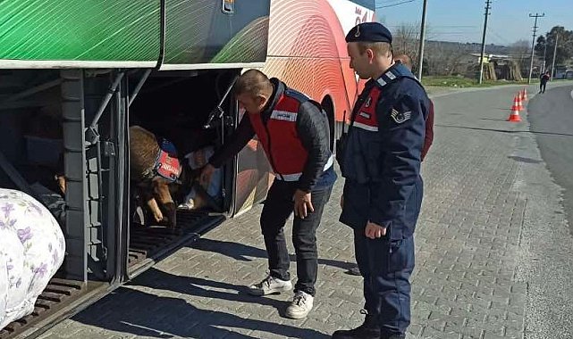 Yolcu otobüsünde uyuşturucu ile yakalandılar