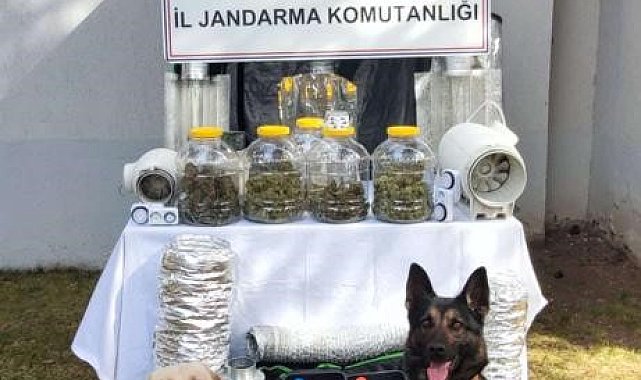 Başkentte uyuşturucu operasyonu