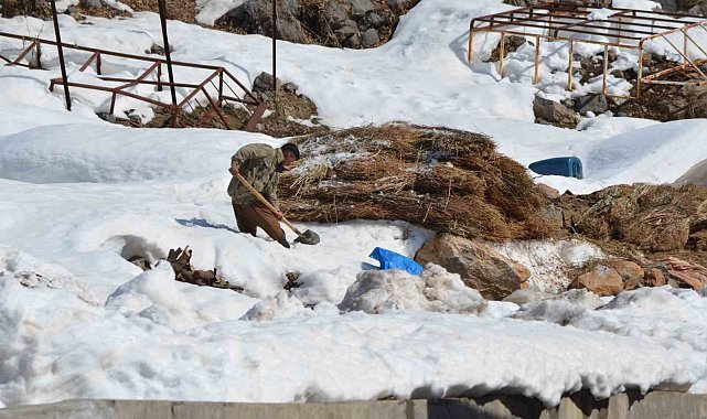 Doğuda kış çilesi devam ediyor