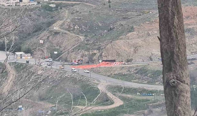 Elazığ'da virajı alamayan kanyom devrildi: 1 yaralı