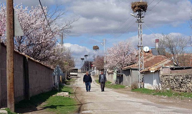 Göçmen köy, göçmen kuşları 60 yıldır misafir ediyor