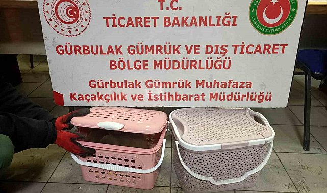 Gürbulak Gümrük Kapısı'nda 11 adet yavru maymun ele geçirildi