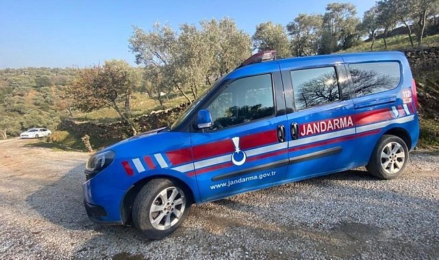 Zeytin bahçelerinden hırsızlık yapan şahıslar suçüstü yakalandı