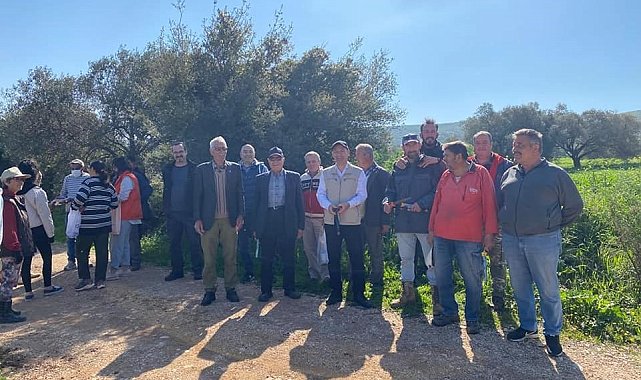 Zeytin budamayı uygulamalı öğrendiler