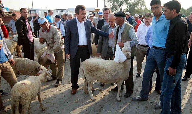 Bursa'da hayvan pazarları açılıyor