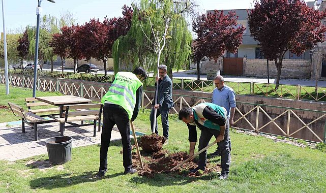 Haliliye Belediyesi parkları yaza hazırlıyor
