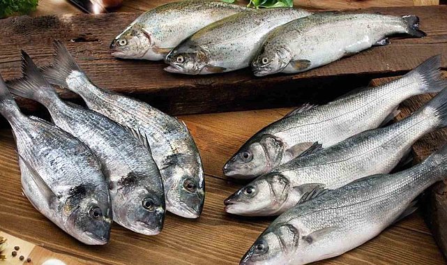 Muğla ihracatını su ürünleri sırtlıyor