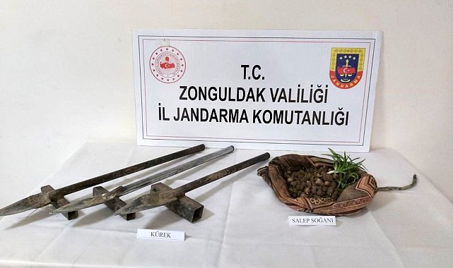 Salep soğanı toplarken yakalandılar