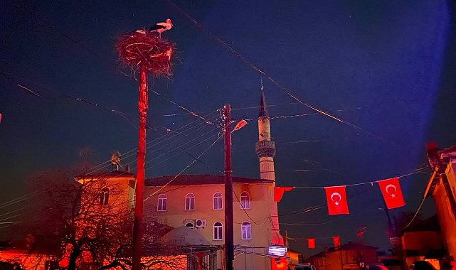 Sındırgı'da çıkan yangında dört ev kullanılamaz hale geldi