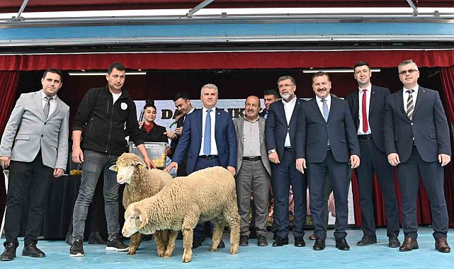 41 damızlık koç sahibini buldu