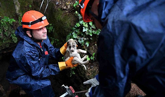 5 metrelik çukurda mahsur kalan yavru köpek kurtarıldı