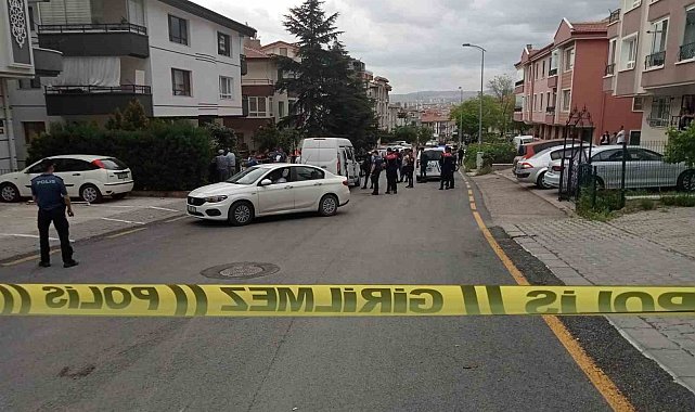 Akli dengesi bozuk şahıs dehşet saçtı: Kız kardeşini öldürdü, erkek kardeşini yaraladı
