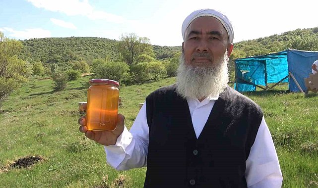 Arıcıların yeni gelir kapısı organik bal: Kilogramı 400 lira