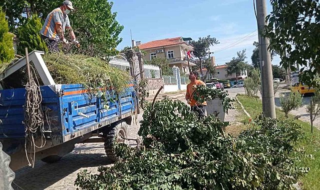 Ayvalık'ta sezon öncesi detaylı temizlik