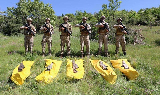Bakan Soylu, Şırnak'ta etkisiz hale getirilen terörist sayısının 5'e yükseldiğini duyurdu