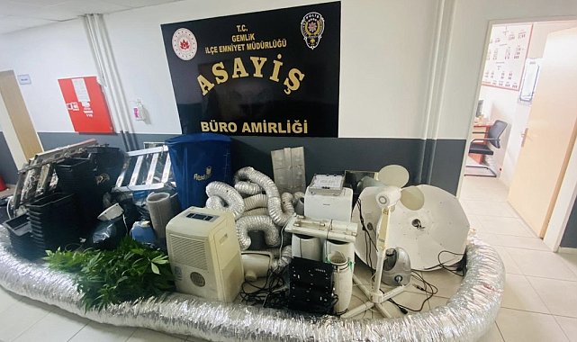 Bursa'da evini uyuşturucu serasına çeviren şüpheli gözaltına alındı