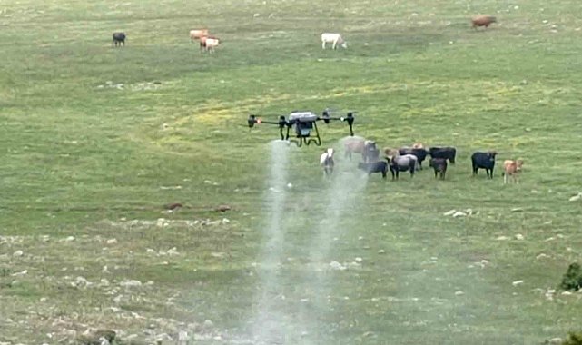 Büyükşehirden çekirgeye karşı dron ile mücadele