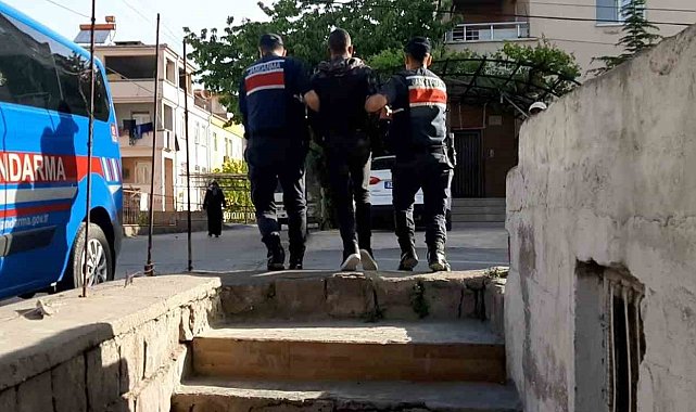 DEAŞ üyesi şahıs jandarmadan kaçamadı