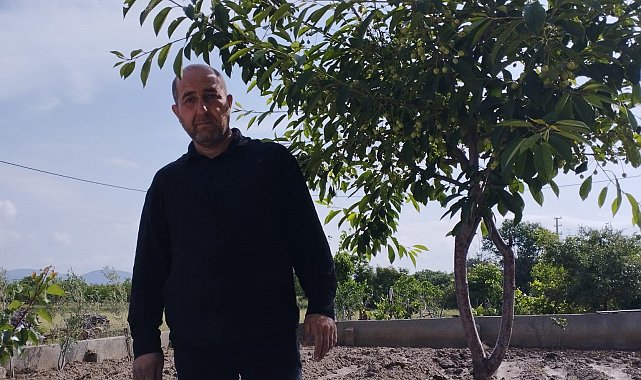 Dolu zararı kiraz üreticisinin belini büktü
