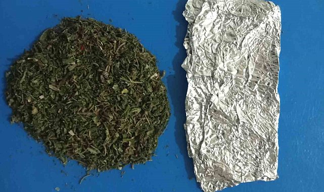 Jandarmadan uyuşturucu devriyesi: 9 gözaltı