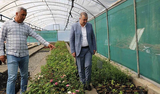 Kahta'da çiçek serası kuruldu
