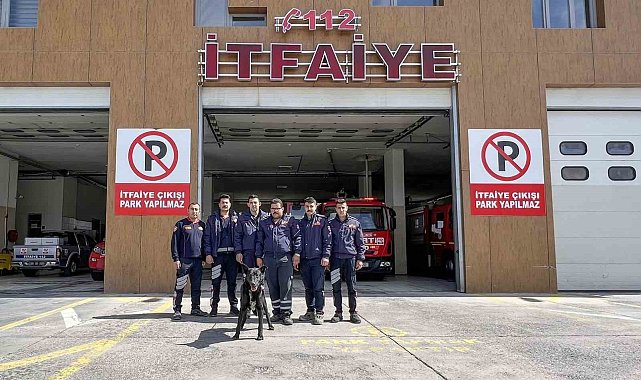 Kayalıklarda mahsur kalan köpeğin yardımına itfaiye ekipleri yetişti