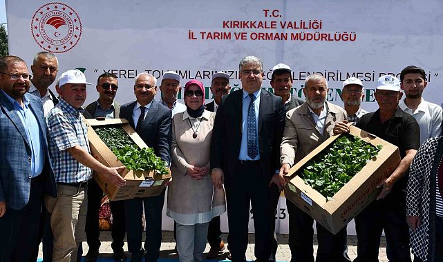Kırıkkale'de çiftçilere 20 bin fide dağıtıldı