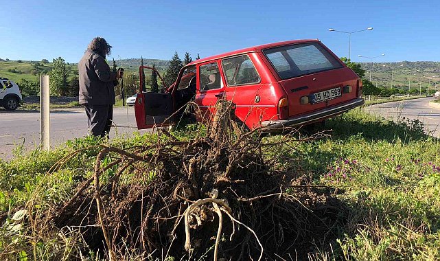 Kontrolden çıkan otomobil çarptığı ağacı kökünden söktü