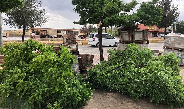 Kozluk'ta sağanak nedeniyle dereler taştı, ağaçlar devrildi