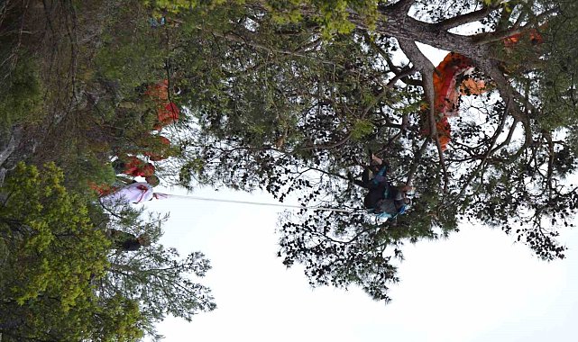 Kurtarma ekipleri ağaçlardan paraşütçü topluyor