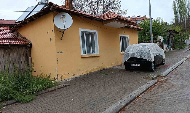 Mal canın yongası